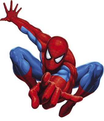 Spider Hero - Edible Impressions